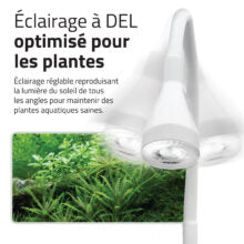 Charger l'image dans la galerie, Aquarium équipé Fluval Kühl pour l’aménagement miniature et aquaponie, 8 L (2,1 gal US), blanc
