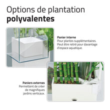 Charger l'image dans la galerie, Aquarium équipé Fluval Kühl pour l’aménagement miniature et aquaponie, 8 L (2,1 gal US), blanc