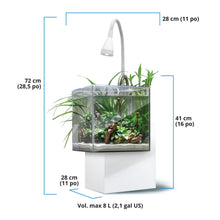 Charger l'image dans la galerie, Aquarium équipé Fluval Kühl pour l’aménagement miniature et aquaponie, 8 L (2,1 gal US), blanc