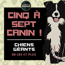 Charger l'image dans la galerie, 5 à 7 - Frais d'inscription à un regroupement par tailles de chien