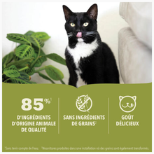 Charger l'image dans la galerie, Conserve pour chat ACANA Premium Pâté, Recette À L'Agneau
