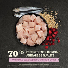 Charger l'image dans la galerie, ACANA Chaton Premier festin