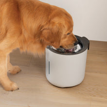 Charger l'image dans la galerie, Abreuvoir Zeus Oasis - Gris pâle