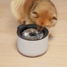 Charger l'image dans la galerie, Abreuvoir intelligent Zeus Oasis Plus - Gris pâle