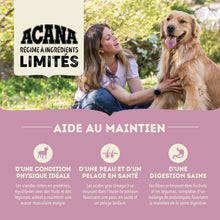 Charger l'image dans la galerie, ACANA Chien Simple Recette D'Agneau Avec Pomme