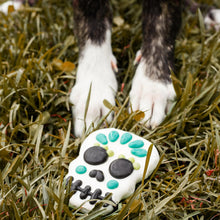 Charger l'image dans la galerie, Crânes mignons et effrayants, biscuit de fantaisie pour chien | Halloween