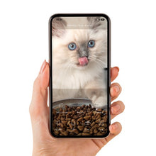 Charger l'image dans la galerie, Distributeur intelligent Catit PIXI Vision