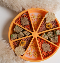 Charger l'image dans la galerie, Dog's Crush -Bol ralentisseur pour chien - Orange