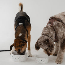 Charger l'image dans la galerie, Dexypaws Bol en céramique pour Chien - Terrazzo