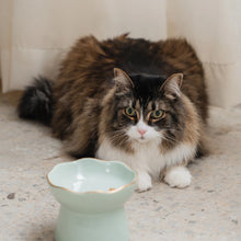 Charger l'image dans la galerie, Dexypaws Bol surélevé en céramique pour chat 7.75 oz - Vert sauge