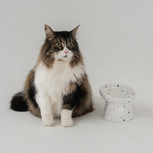 Charger l'image dans la galerie, Dexypaws Bol surélevé en céramique pour chat 8.8 oz - Terrazzo