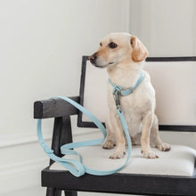 Charger l'image dans la galerie, Dexypaws Collier imperméable pour chien, Bleu ciel