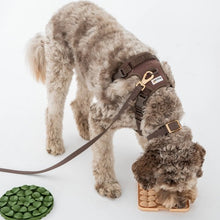 Charger l'image dans la galerie, Dexypaws Collier imperméable pour chien, Espresso