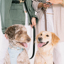 Charger l'image dans la galerie, Dexypaws Laisse "Mains Libre" imperméable pour chien, Noir 6 pieds