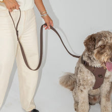 Charger l'image dans la galerie, Dexypaws Laisse imperméable pour chien, Espresso 5 pieds