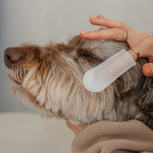 Charger l'image dans la galerie, Dexypaws Lingettes doigt pour chien - Soins des yeux, oreilles & nez - Sans parfum
