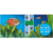 Charger l'image dans la galerie, Chauffe-eau submersible P25, jusqu’à 25 L (6 gal US), 25 W