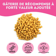 Charger l'image dans la galerie, Granville Island - Gâteries de saumon lyophilisé pour chien et chat 50 gr