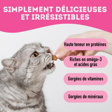 Charger l'image dans la galerie, Granville Island - Gâteries de saumon lyophilisé pour chien et chat 50 gr
