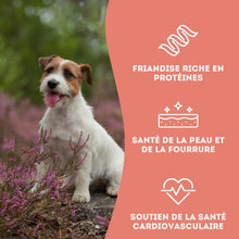 Charger l'image dans la galerie, Granville Island - Gâteries de thon lyophilisé pour chien et chat 30 gr