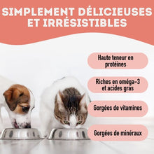 Charger l'image dans la galerie, Granville Island - Gâteries de thon lyophilisé pour chien et chat 30 gr