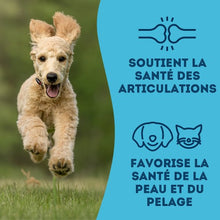 Charger l'image dans la galerie, Granville Island - Gâteries de sardines déshydratées pour chien et chat