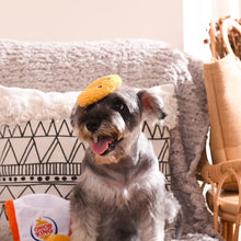 Charger l'image dans la galerie, Hugsmart Jouet en peluche pour chien - Cache-cache - Rondelles d'oignon
