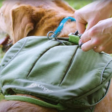 Charger l'image dans la galerie, Kurgo Harnais "Cascade", Orange