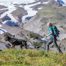 Charger l'image dans la galerie, Kurgo Harnais Pour Chien "Townie", Noir