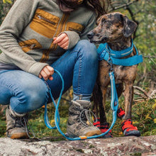 Charger l'image dans la galerie, Kurgo Laisse "Stub RSG" conception en échelle ajustable, Bleu côtier / gris charbon
