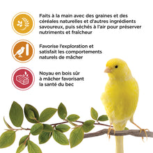 Charger l'image dans la galerie, Living World Gâteries pour serins - Paquet de 3 saveurs - 85 gr