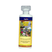 Charger l'image dans la galerie, Clarificateur d’eau Clear Fast Laguna