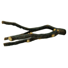 Charger l'image dans la galerie, Perchoir Nature’s Perch Living World