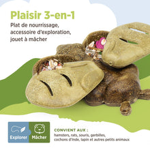 Charger l'image dans la galerie, Living World Accessoire de nourrissage comestible - Abeille - Brun 120 gr (4,2 oz)