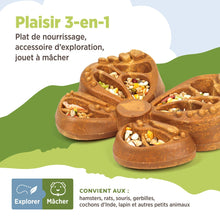 Charger l'image dans la galerie, Living World Accessoire de nourrissage comestible - Papillon - Orange - 180 gr (6,3 oz)