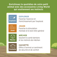 Charger l'image dans la galerie, Living World Cachette comestible - Tronc d'arbre - Verte - 170 gr (5,9 oz)