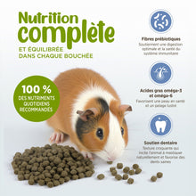 Charger l'image dans la galerie, Living World Extrusion nourriture pour cochon d'inde