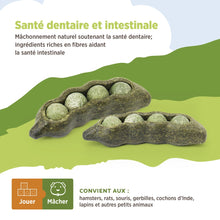 Charger l'image dans la galerie, Living World Jouet à mâcher comestible - Cosse de poids - Vert - Paquet de 3 - 75 gr