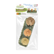 Charger l'image dans la galerie, Living World Jouet à mâcher comestible - Parcelle de champignons - Multicolore - 170 gr (5,9 oz)