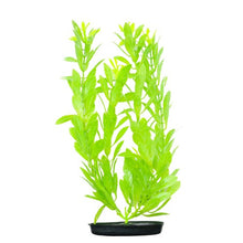 Charger l'image dans la galerie, Hygrophila VibraScaper Marina, vert phosphorescent, grande, 30 cm (12 po)