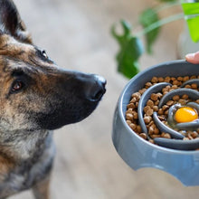 Charger l'image dans la galerie, Messy Mutts Bol Ralentisseur, Gris