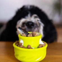 Charger l'image dans la galerie, Messy Mutts Jouet pour chien ''Totally Pooched, Puzzle'n Play'', Vert