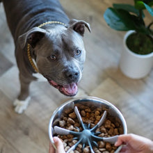 Charger l'image dans la galerie, Messy Mutts Ralentisseur à ventouses pour intérieur de bol, taille ajustable