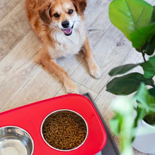 Charger l'image dans la galerie, Messy Mutts Bol double surélevé avec pattes ajustables, Gris foncé