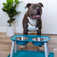 Charger l'image dans la galerie, Messy Mutts Bol double surélevé avec pattes ajustables, Gris foncé