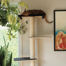 Charger l'image dans la galerie, Noba Origin – Collection murale – Ensemble complet - Aire de jeux verticale - Noir