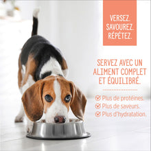 Charger l'image dans la galerie, Nutrience garnitures Style maison pour chiens - Saumon et riz rouge - 152 gr
