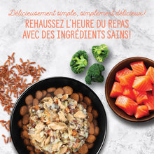 Charger l'image dans la galerie, Nutrience garnitures Style maison pour chiens - Saumon et riz rouge - 152 gr