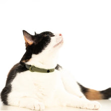 Charger l'image dans la galerie, Nuvuq Collier ajustable avec attache de sécurité pour chat - Vert olive