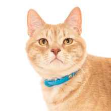 Charger l'image dans la galerie, Nuvuq Collier ajustable avec attache de sécurité pour chat, Bleu bleuet